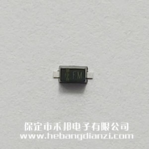 贴片1N60 检波二极管 印(yìn)字FM
